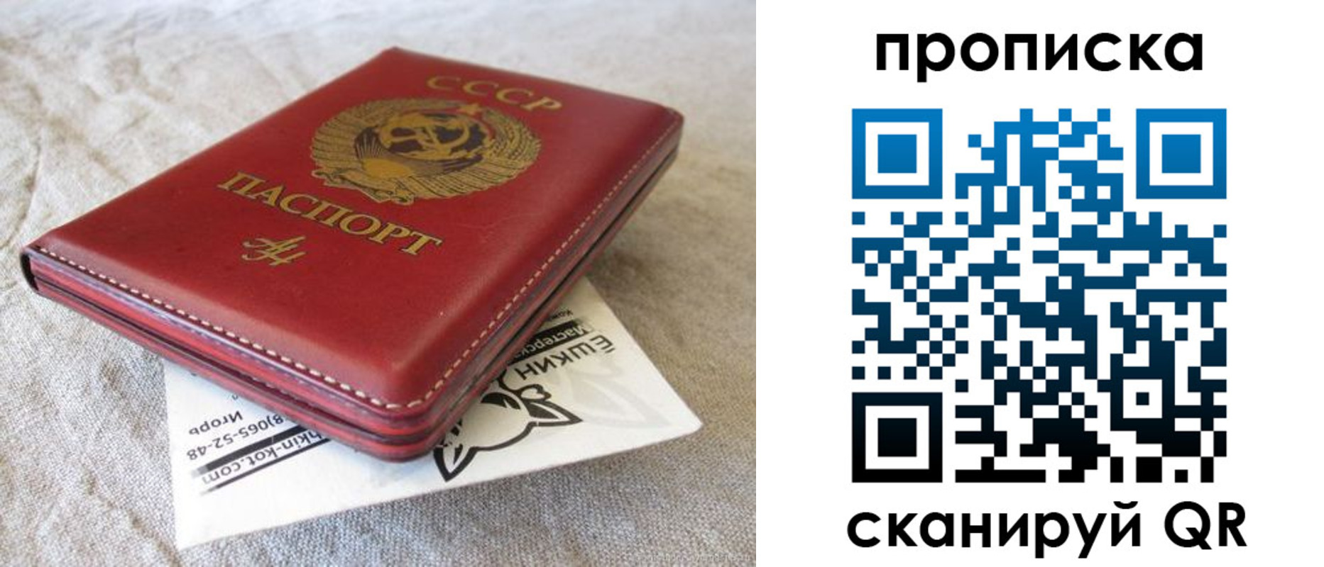 прописка для школы в Миллерово